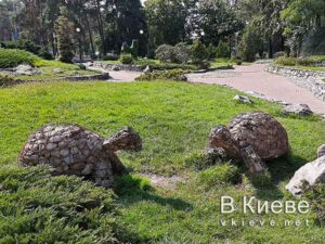 Черепахи в парке Победа в Киеве